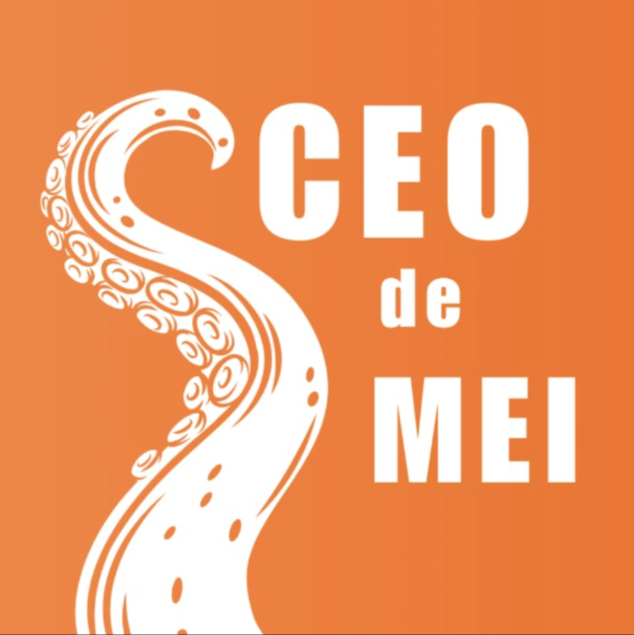 CEO de MEI